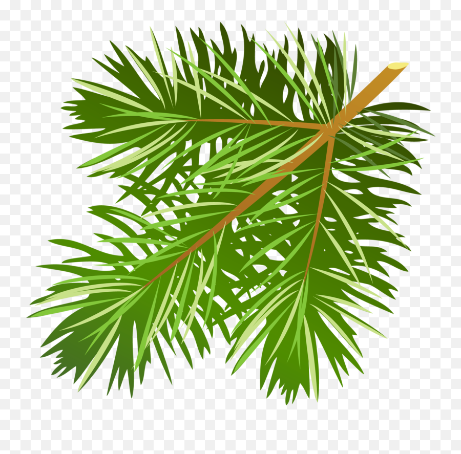 Pine Cliparts Free Png Images - Bough Clipart Emoji,Pine Needles Emoji