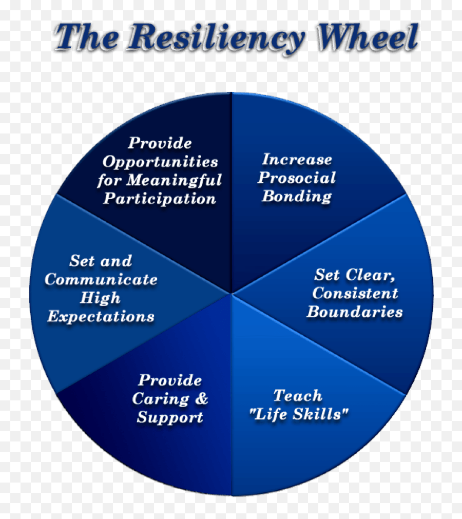 How To Stay Calm When Working On A Stressful Project - Nan Henderson Resiliency Wheel Emoji,Estar With Conditions And Emotions