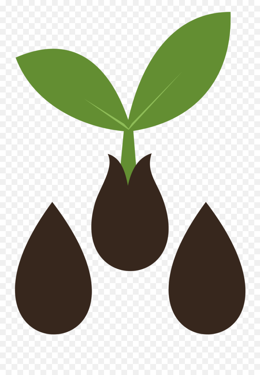Seedling Clipart Many Plant Seedling Many Plant Transparent - Seed Clip Art Emoji,Sprout Emoji
