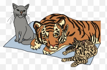 Javascript For Cats - Javascript For Cats Emoji,Ech Cat Emotion