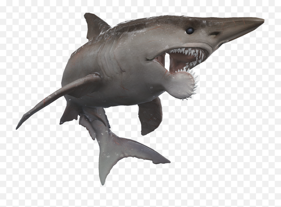 Prehistoric Sharks Of Depth - Helicoprion Shark Png Transparent Emoji,Shark Emoticon Depth