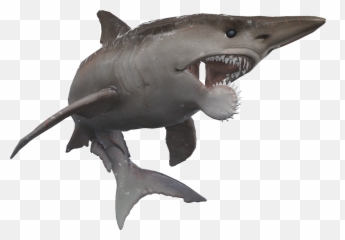 Prehistoric Sharks Of Depth - Helicoprion Shark Png Transparent Emoji,Shark Emoticon Depth