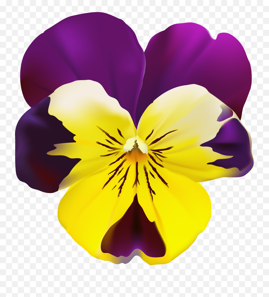 Violet Flower Png Violet Flower Png - Violet Flower Png Vector Emoji,Violet Flower Emoji