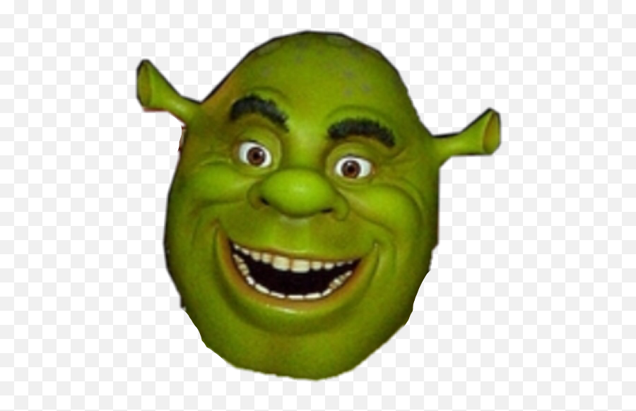 Download Shrek Stupid - Full Size Png Image Pngkit Emoji,Emoticon For Stupid