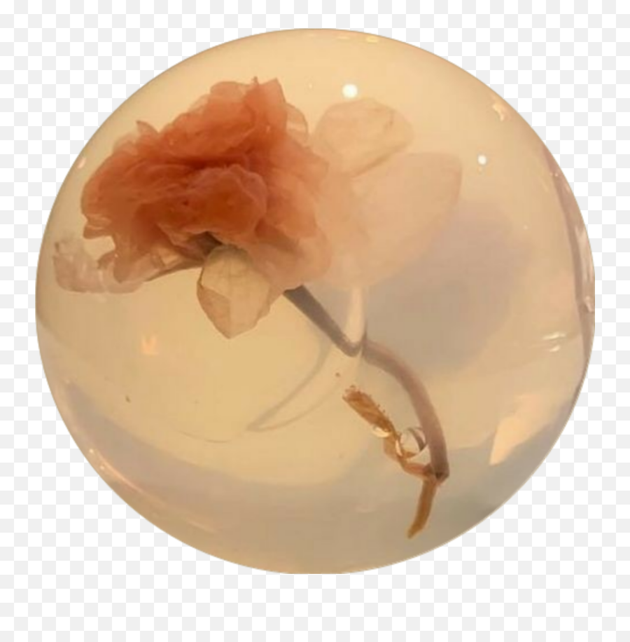 Marbleflowerballround Object Sticker By Traci - Tijd Emoji,Rose Ball Emoji