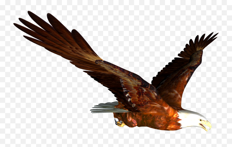 Clipart Eagle Clipart - Animated Eagle Flying Png Emoji,Eagle Emoji