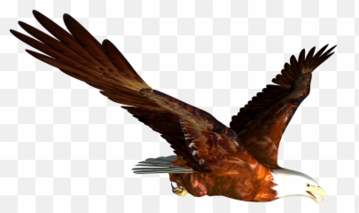 Clipart Eagle Clipart - Animated Eagle Flying Png Emoji,Eagle Emoji