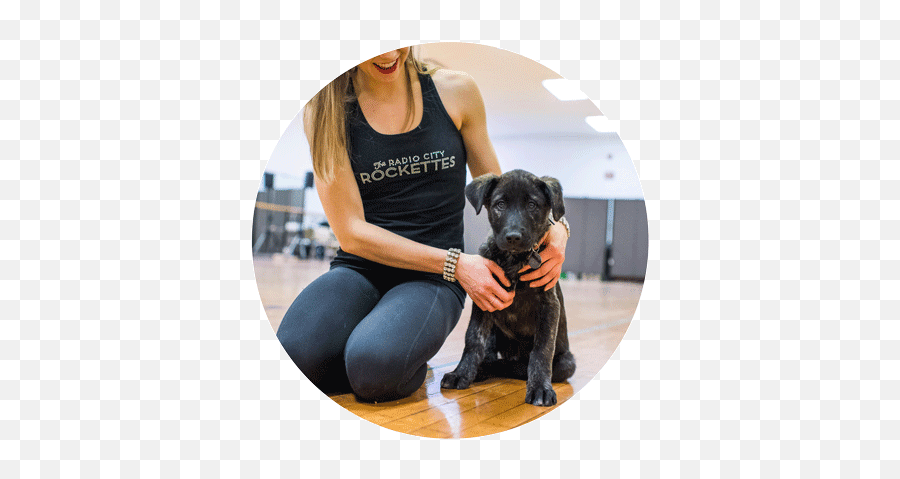 A Furry Photo Shoot With The Dogist The Rockettes - Active Tank Emoji,Looking For A Lap Dog And One That Responds To Emotion