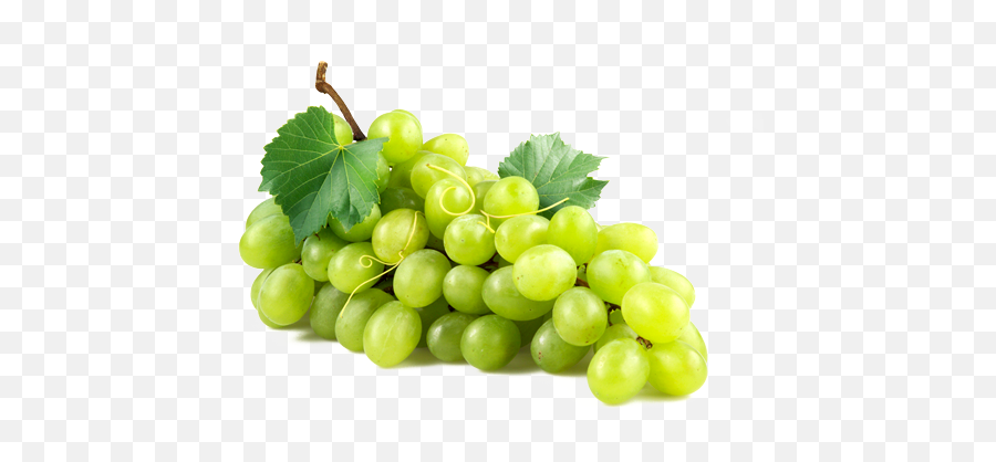 Bunch Of Grapes Png U0026 Free Bunch Of Grapespng Transparent - Green Grapes Transparent Background Emoji,Grape Emoji