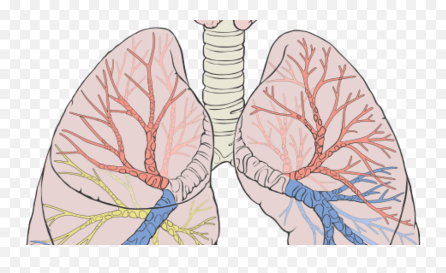 Poetry Month April 2018 U0027breatheu0027 1 And 2 - Letterpile Lungs Dog Emoji,Poems About The Depth Of Emotion