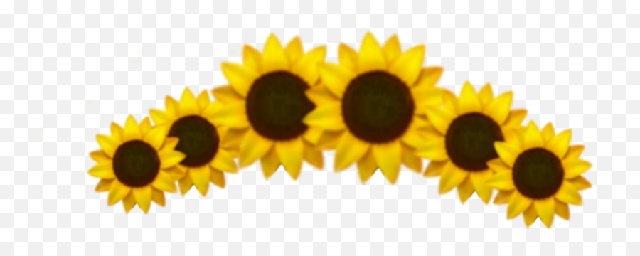 Emoji Sunflower Crown Sticker - Sunflower Crown Aesthetic Transparent,Sunflower Emoji