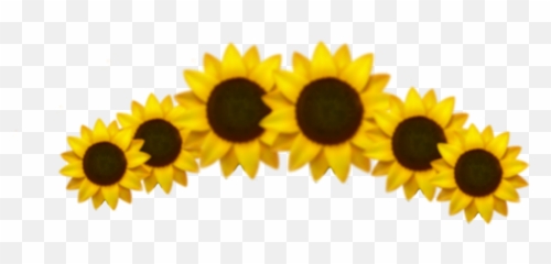 Emoji Sunflower Crown Sticker - Sunflower Crown Aesthetic Transparent,Sunflower Emoji