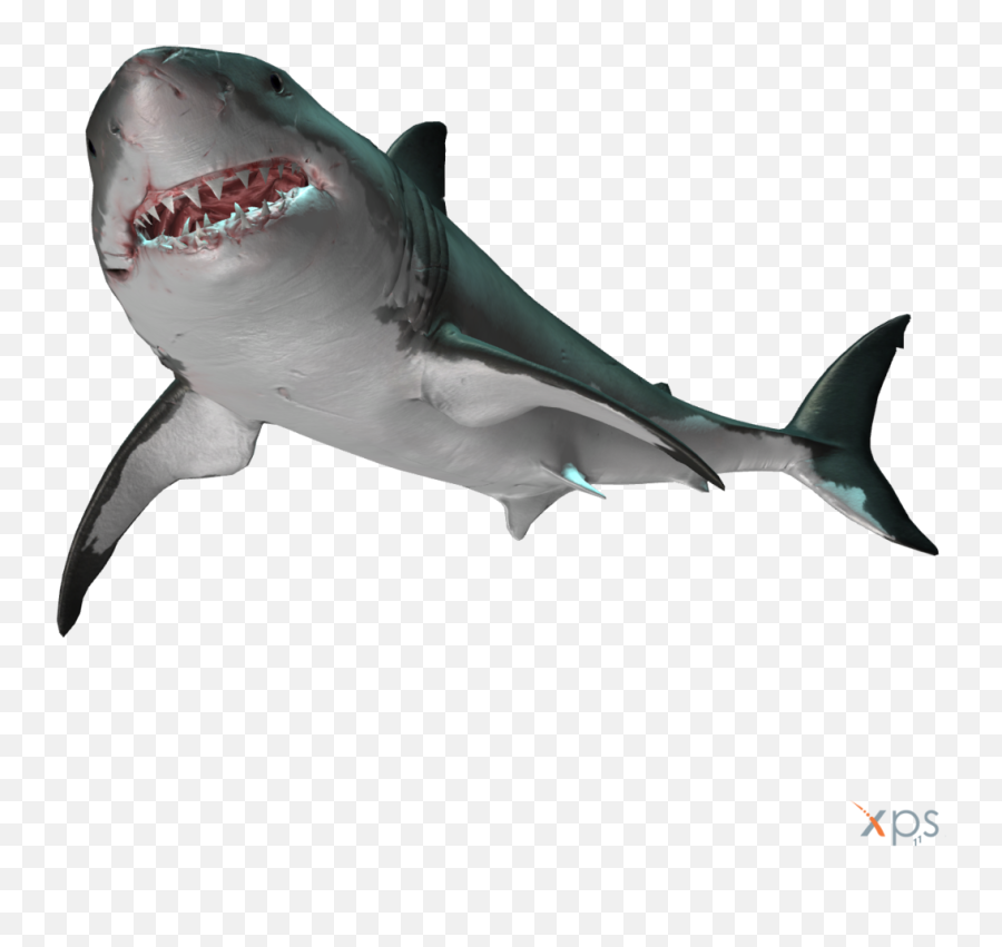 Great White Shark - Transparent Shark Png Emoji,Shark Emoticon Depth