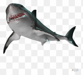 Great White Shark - Transparent Shark Png Emoji,Shark Emoticon Depth