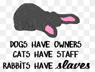 Home - Dot Emoji,Crazy Rabbit Emoticons
