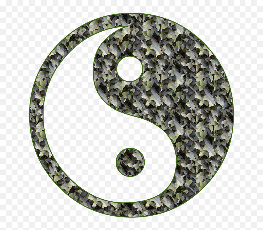 Free Photo Harmony Yang Yin Symbol Balance Yin And Yang Emoji,Emotions Yin Logic Yang