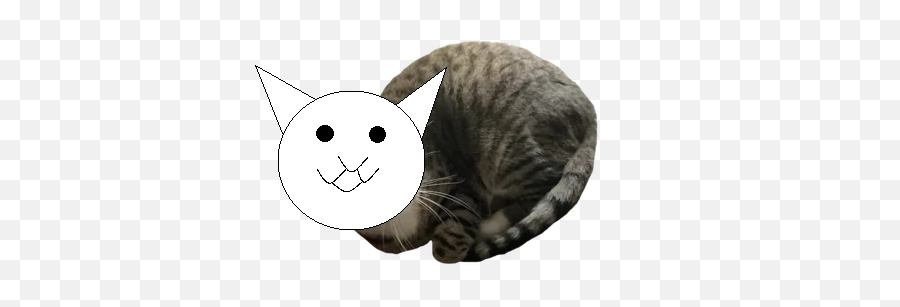 Discuss Everything About Battle Cats Wiki Fandom Emoji,Catlol Emoji