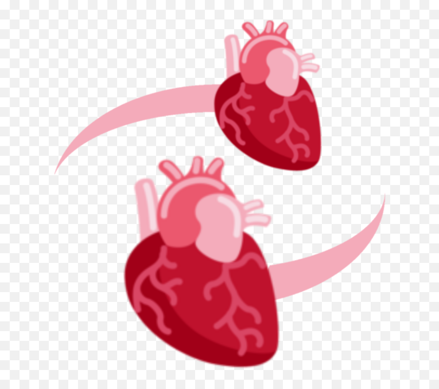 Username - Anatomical Heart Emoji Discord,Discord Emojis In Nickname