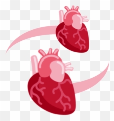 Username - Anatomical Heart Emoji Discord,Discord Emojis In Nickname