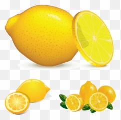 Lemon Clipart Food Fruit Lemon Lemon 2 Lemon Clipart Html - Citron Clipart Emoji,Lemon Emoji