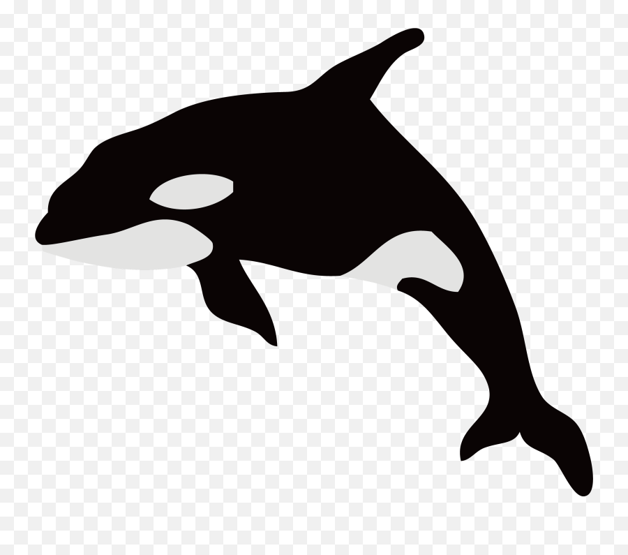 Dolphin Killer Whale Illustration Whales Silhouette - Black Transparent Killer Whale Silhouette Emoji,Dolphin Emoji