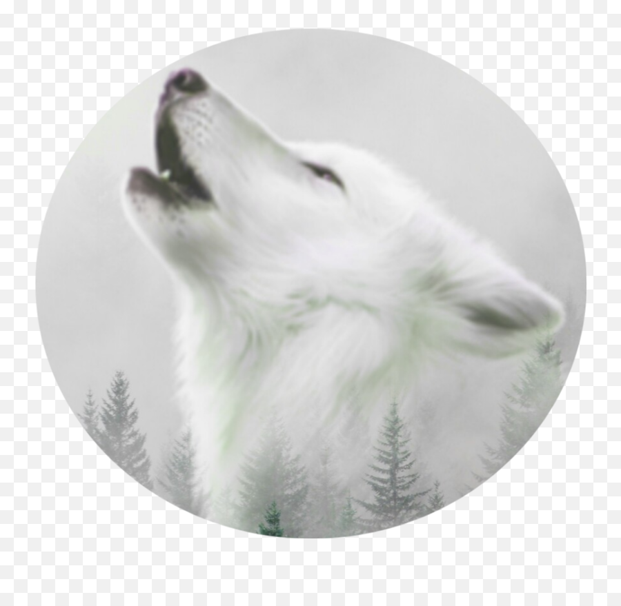Whitewolf Sticker Emoji,Moon Love Fox Emoji