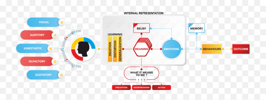 Nlp - Neurolinguistic Programming Adroitnaukricom Vertical Emoji,Taste Of Emotions