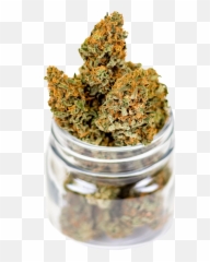 Stlarchpain Author At Arch Advanced - Fluffy Weed Emoji,Marijuana Affects Your Emotions
