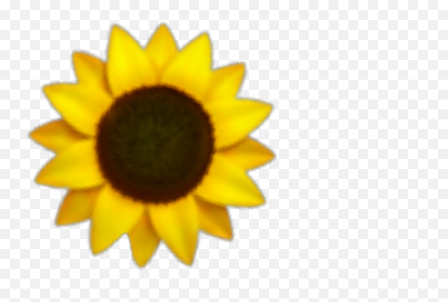 Girasol Girasoles Girasol Sticker By Melizabethhf - Little Sunflower Drawing Emoji,Sunflowers Emotion