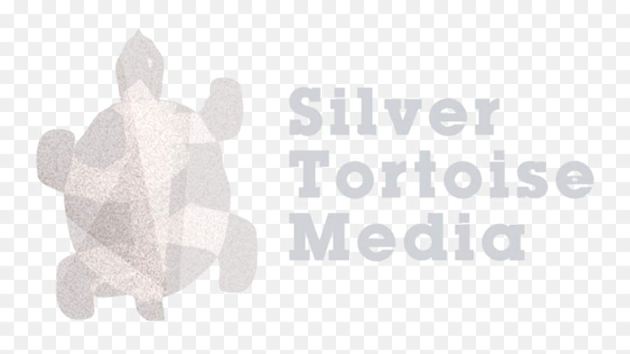 General 4 U2014 Silver Tortoise Media Emoji,Fb Turtle Emoticon