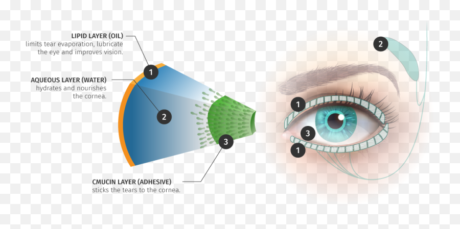 Dry Eye - Ophthalmology Emoji,Different Tears Onions Vs Emotion