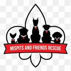 Adoption 101 Mispits And Friends - Mispits And Friends Rescue Emoji,Miss Ceara Be Emotion Instagram