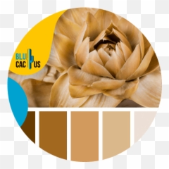How To Choose The Best Colors For Your Fashion Brands Logo Emoji,Roses Are Senstive To Emotion