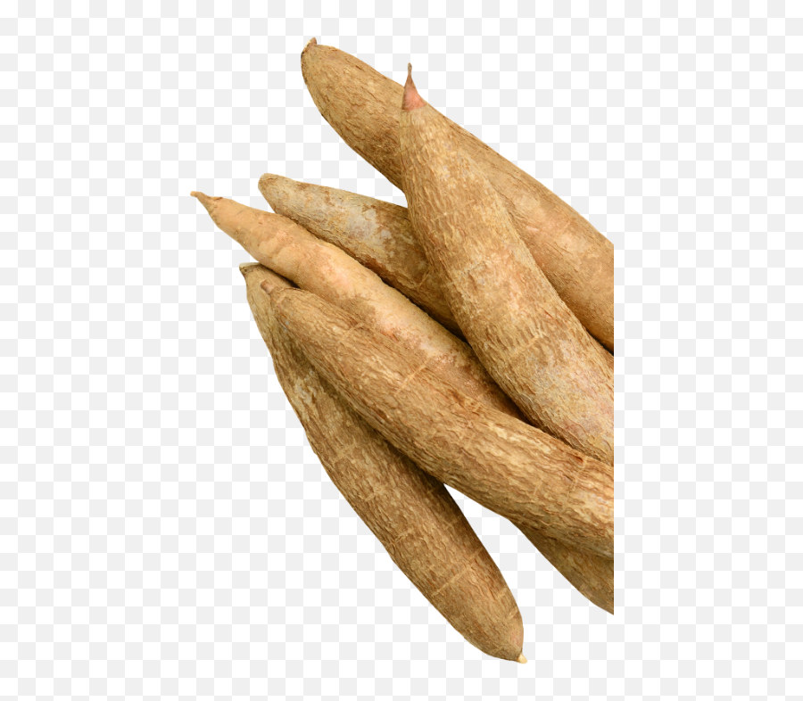 Organic Cassava Png File Png Mart Emoji,Yam Emoji