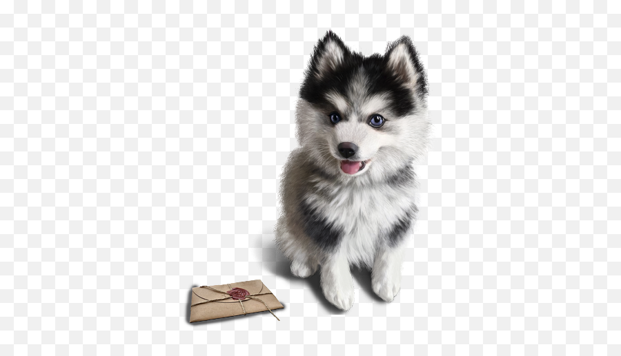 Chiens - Page 2 Emoji,Pomsky Emoji