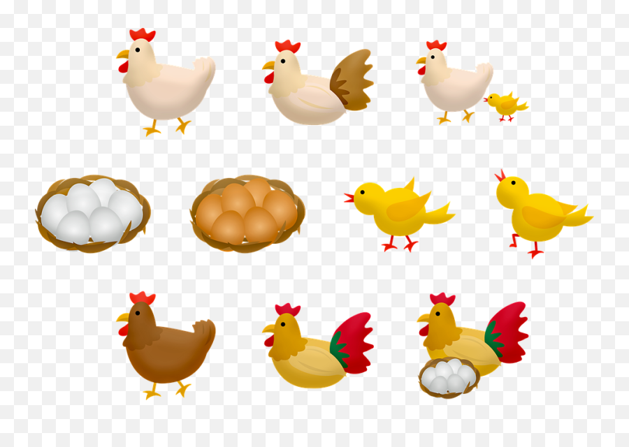 Free Hen Chicks Chicken Images Emoji,Chicken Emotions