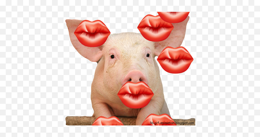 Funny Animal Blowing Kisses Page 1 - Line17qqcom Love You Gif Pig Emoji,Blow Kiss Gif Emoji