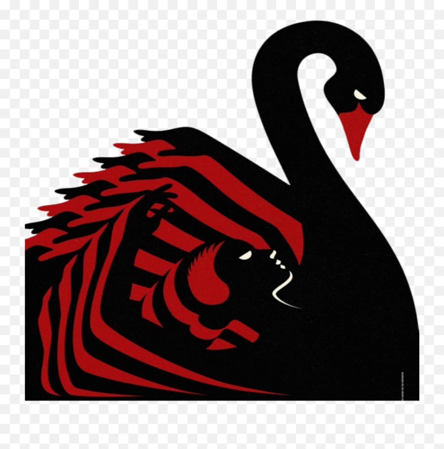 Mq Swan Black Swans Blackswan Sticker - Black Swan Movie Poster Emoji,Is There A Swan Emoji