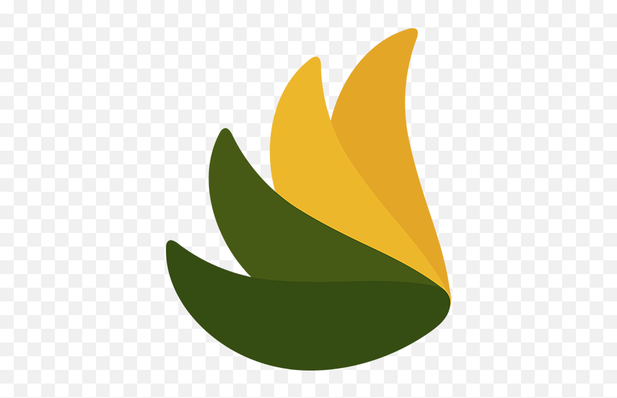 Privacygrade - Language Emoji,Any Emoticons For Aquamail
