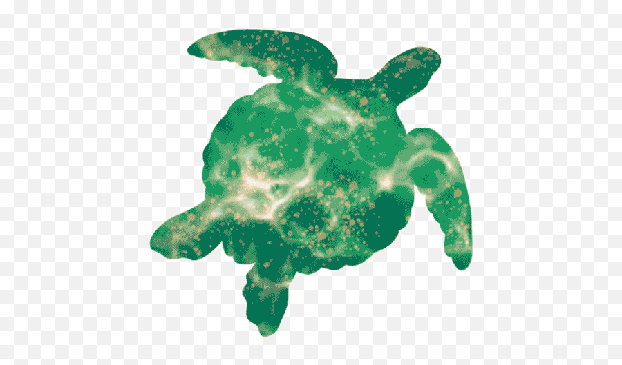 La Biodiversità By Romanoannarita On Genially - Indíce Genial Ly Emoji,Sea Turtle Emoticon