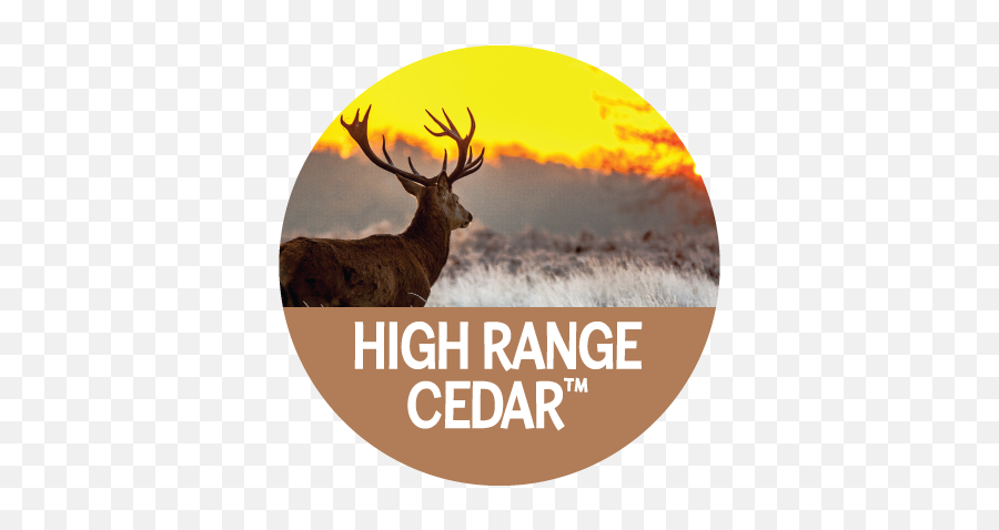 High Range Cedar Truck Puck Automobile Air Fresheners - Tolmie State Park Emoji,Car Freshener With Emojis