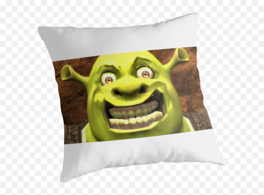 Cute Shrek Pillow Home U0026 Garden Store Bedding U0026 Linens - Family Friendly Pg Clean Memes Emoji,Emoticon Pillow Price