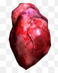 Hearts Arenu0027t Really Heart Shaped - Real Heart Transparent Emoji,Emoticons Hearts