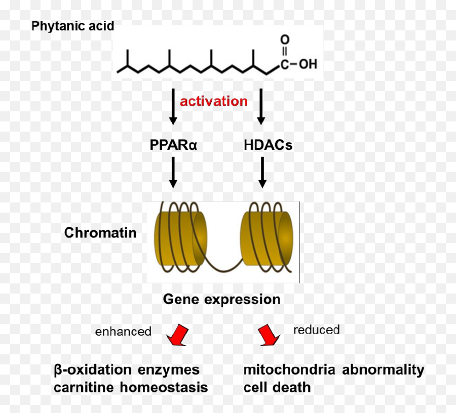 Phytanic Acid Alters Transcriptional Activities Of The Emoji,Spurn Emotion Picture