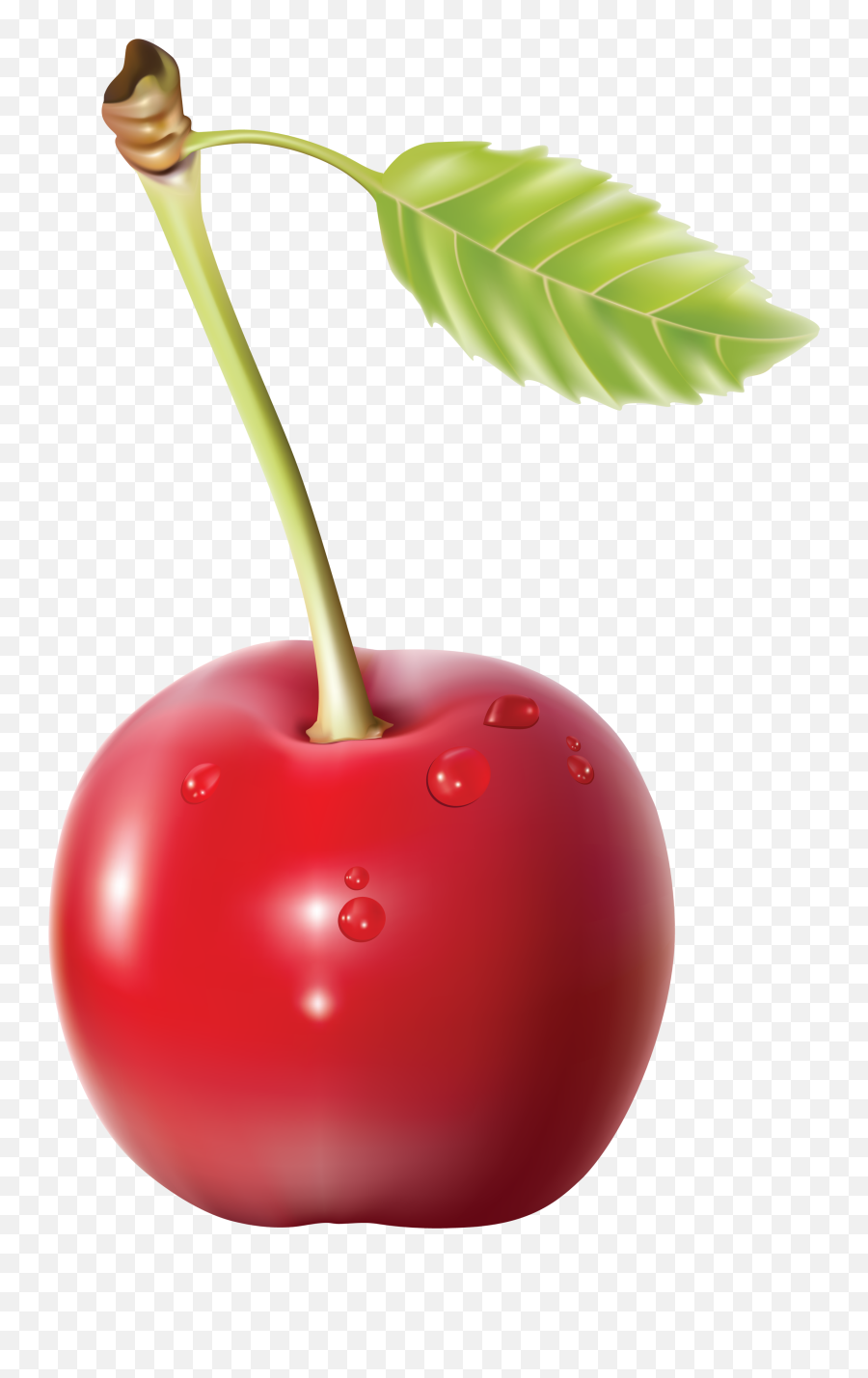 Outline Clipart Cherry Outline Cherry Transparent Free For - Cherry Png Emoji,Cherry Emoji