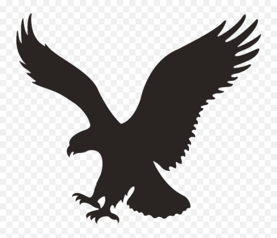 American Eagle Outfitters Bird Transparent Png - Stickpng Emoji,All Bird Emojis