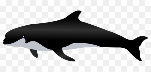 Free The Whale Whale Illustrations - Kahve Falnda Balina Görmek Emoji,Killer Whale Emoji
