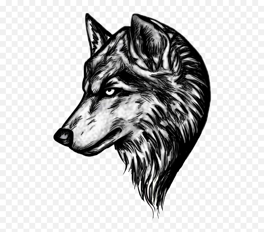 Fox Wolf Wolf Head Sticker By Ig Nabilyolo - Wolf Head Transparent Emoji,Wolf Emoji Art