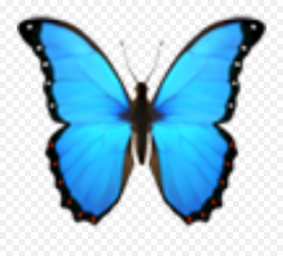 Red Butterfly Emoji Copy And Paste - Butterfly Emoji Png,Salad Emoji Iphone