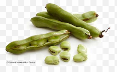 Fava Beans Umami Ingredients Umami Inspiration - Broad Bean Emoji,Umami The Fifth Emotion